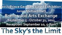 The Sky’s the Limit: 2011 Prince George’s County Juried Exhibition