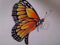 Butterfly Story