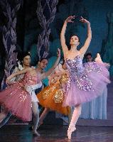 Moscow Festival Ballet of Russia
