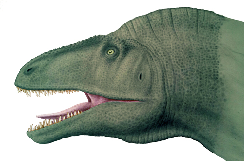 Cretaceous Roll Call: Maryland